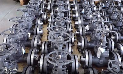 【天南地北岳西人】王金苗:將熱愛進行到底 用赤誠鑄就匠心